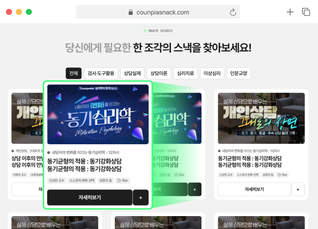 카운피아 스낵 구독형 구조 이미지